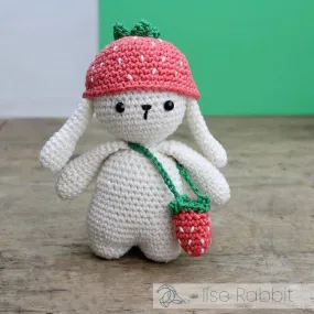 DIY Crochet Kit - Ilse Rabbit