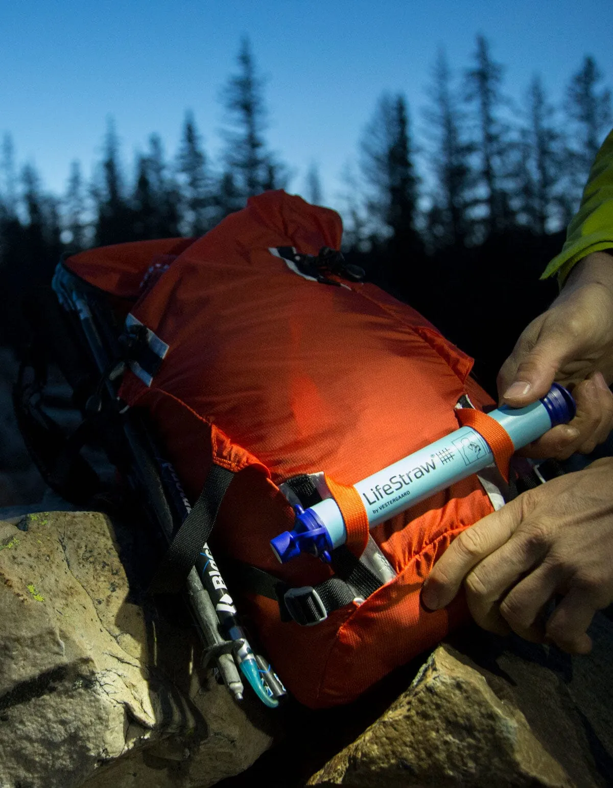 LifeStraw Navy 4-Pack