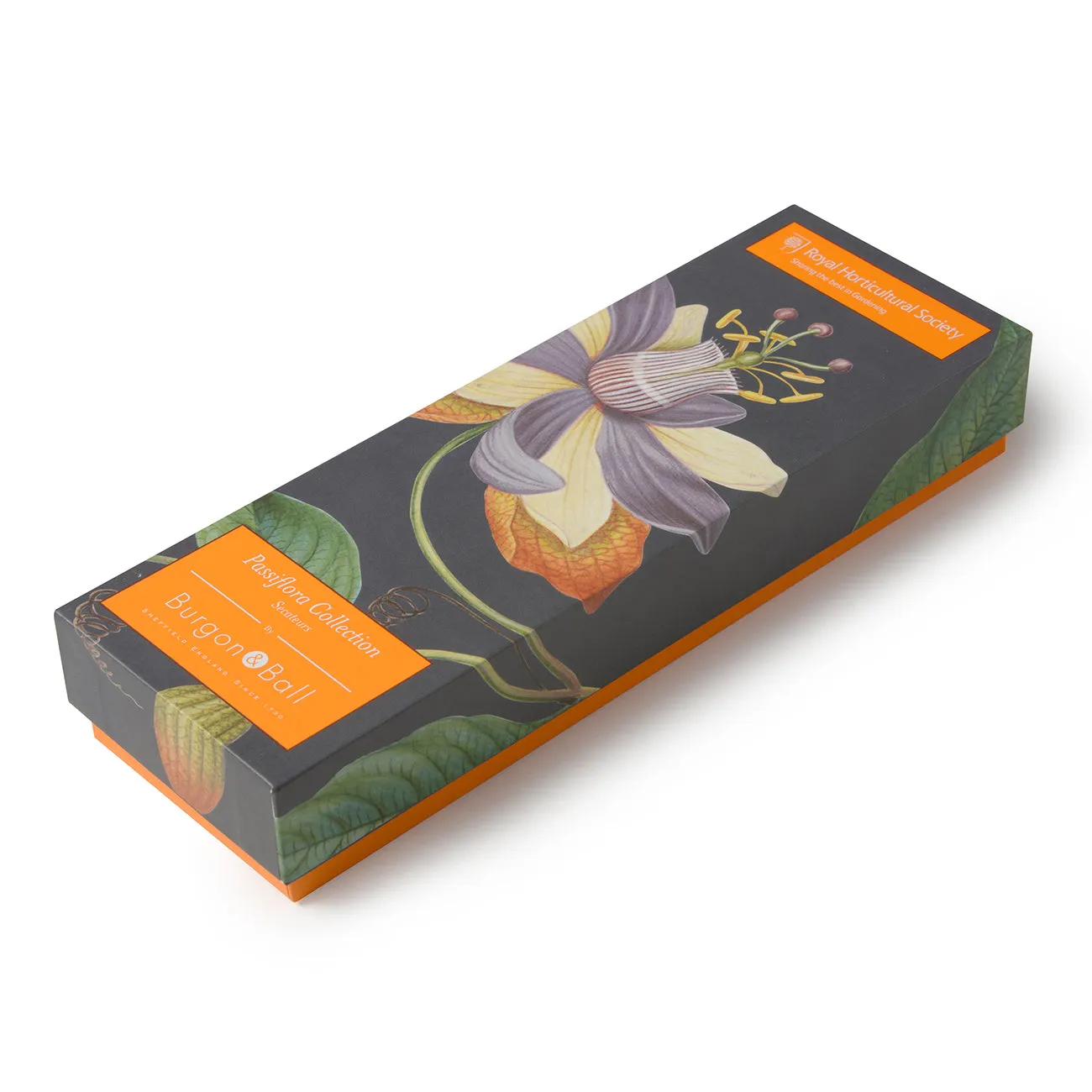 Passiflora Secateur