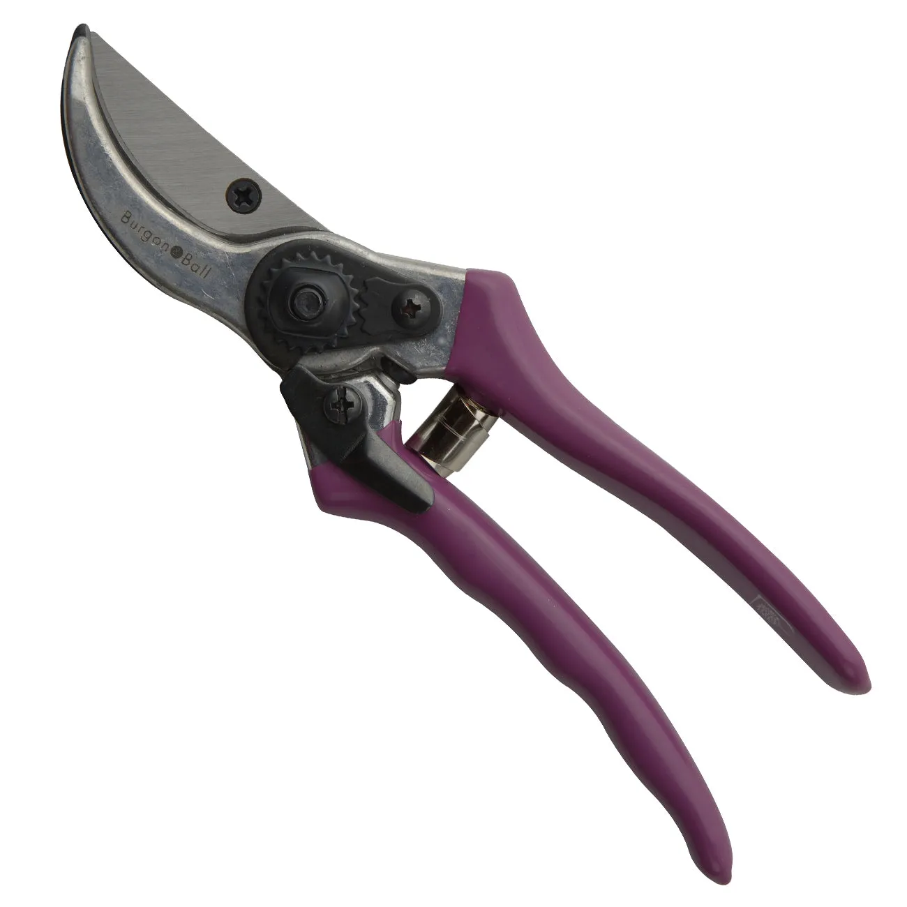 Passiflora Secateur