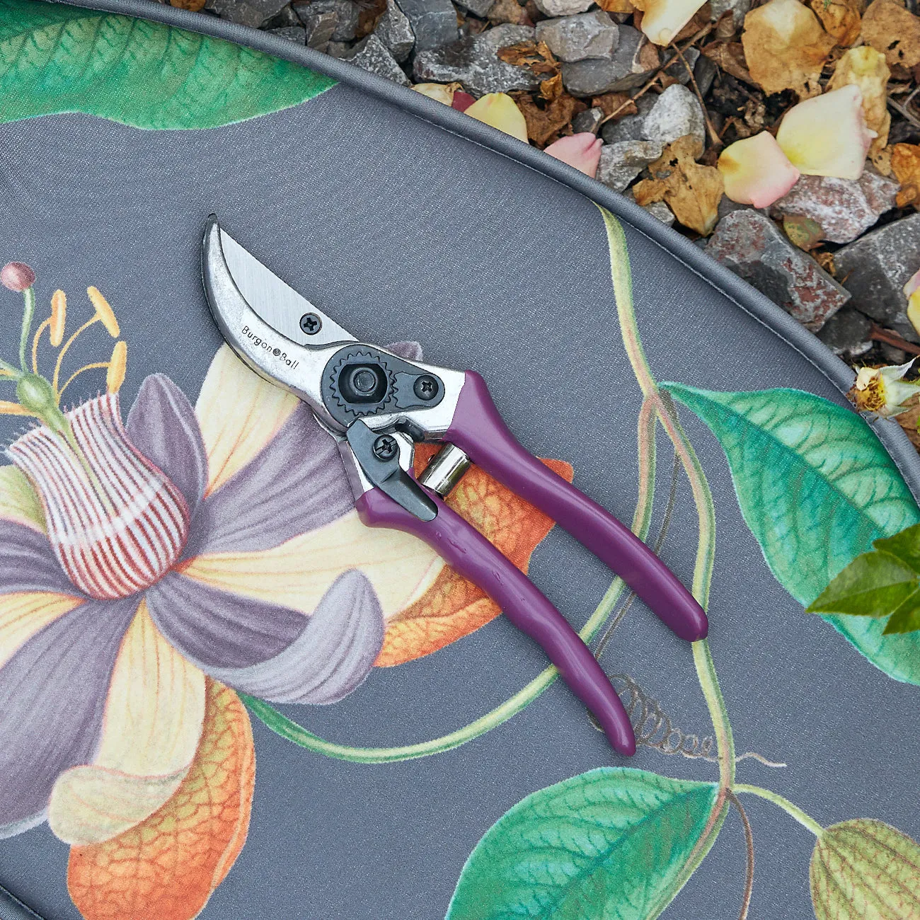 Passiflora Secateur