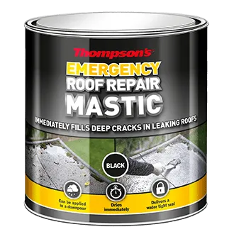 Thompson Emergency Roof Repair 750ml